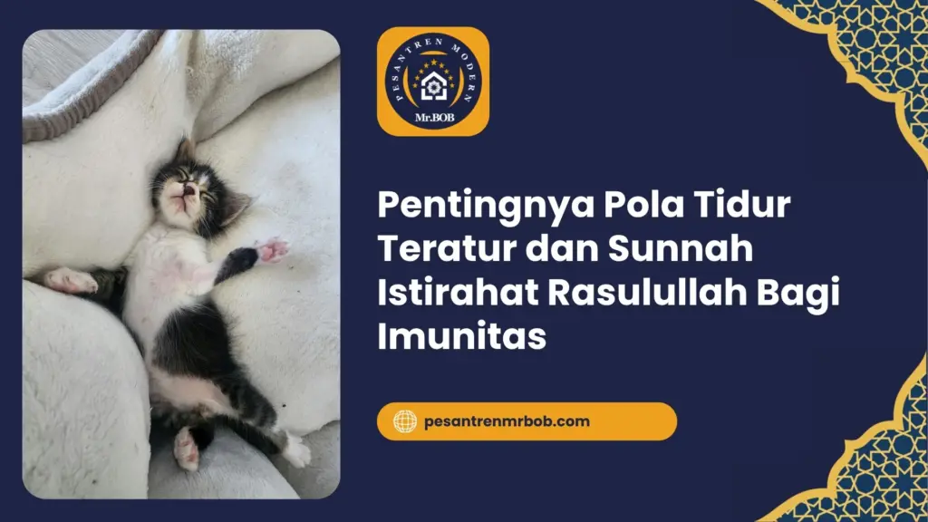 Pentingnya Pola Tidur Teratur dan Sunnah Istirahat Rasulullah Bagi Imunitas