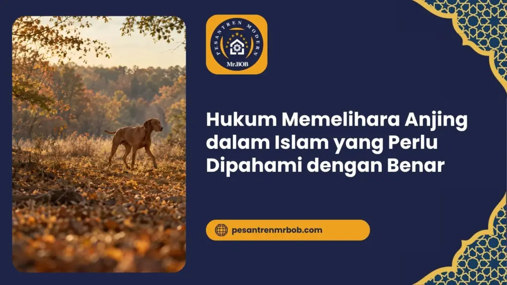 Hukum Memelihara Anjing dalam Islam yang Perlu Dipahami dengan Benar