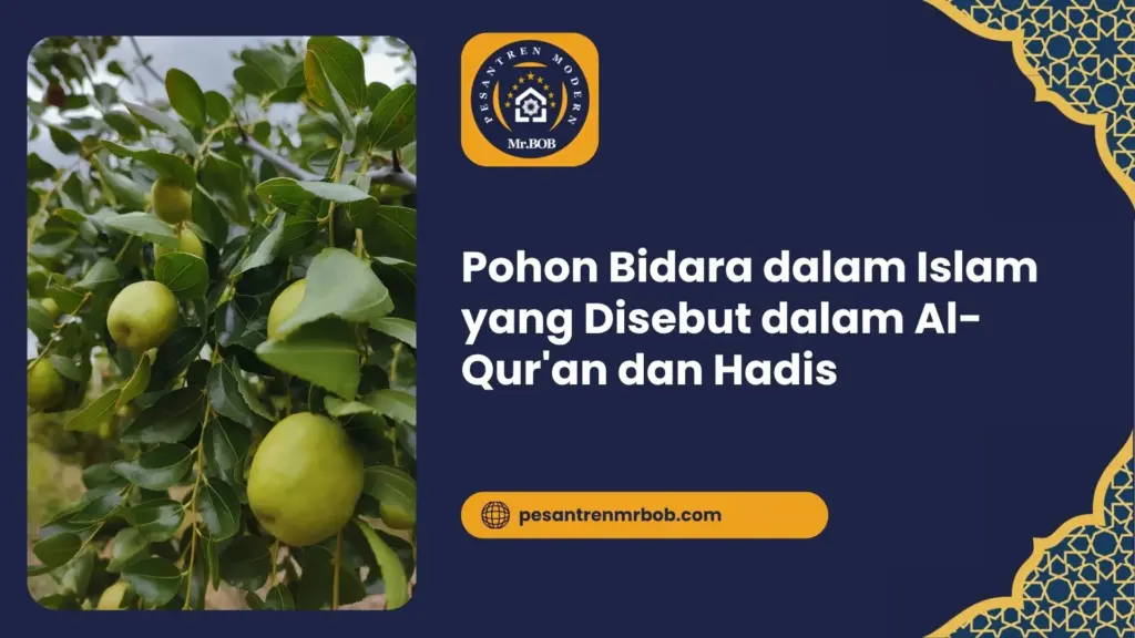 Pohon Bidara dalam Islam yang Disebut dalam Al-Qur'an dan Hadis